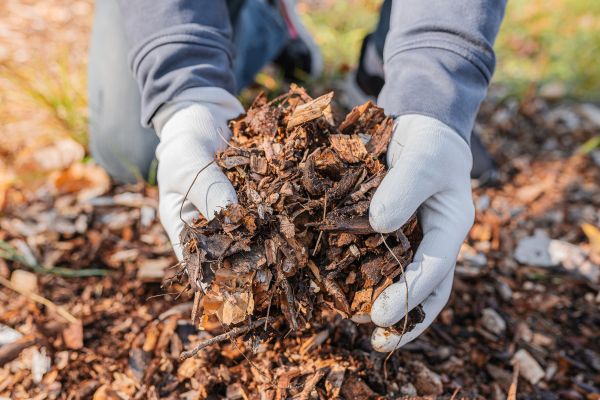 Shredded Mulch Installation in Brunswick