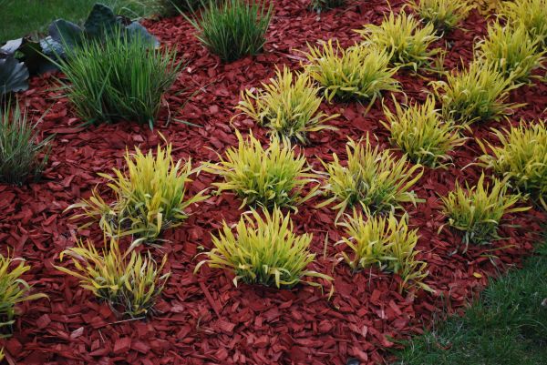 Red Mulch Installation in Brunswick