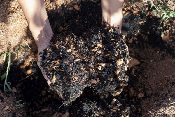Organic Mulch Installation in Brunswick