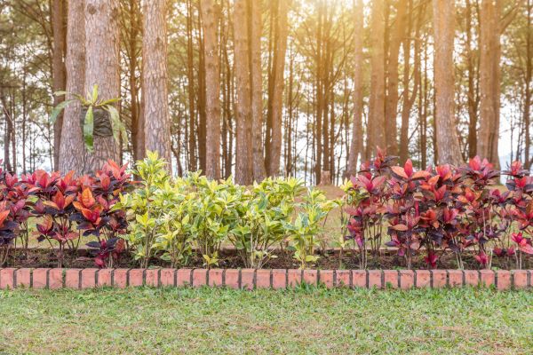 Small Garden Landscaping in Brunswick
