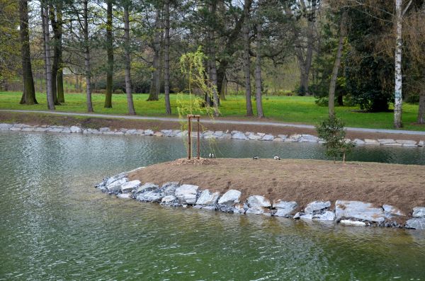 Pond Landscaping Service in Brunswick