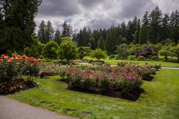 Flower Garden Landscaping in Brunswick