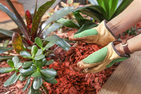 Cedar Mulch Installation in Brunswick