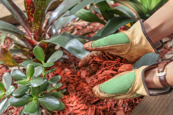Residential Mulching in Brunswick