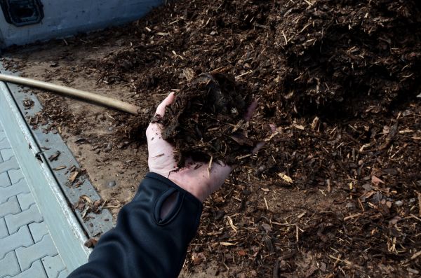 Condo Mulching in Brunswick