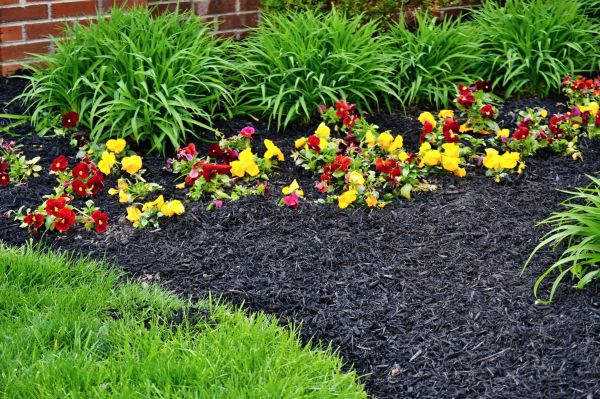 Apartment Mulching in Brunswick
